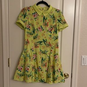BETU betu Lime Green Floral print Dress Collared, short sleeve lined flare Sz 6